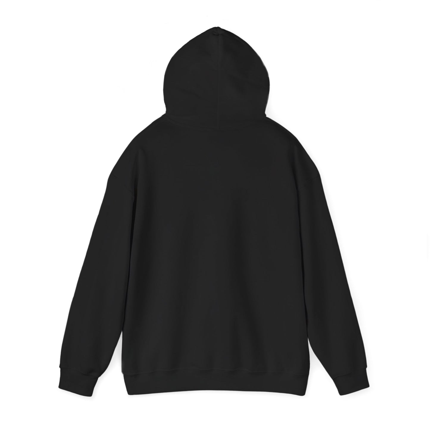 COUNCIL VARSITY HOODIE